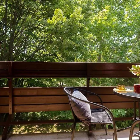 Eszter 블로톤퓌레드