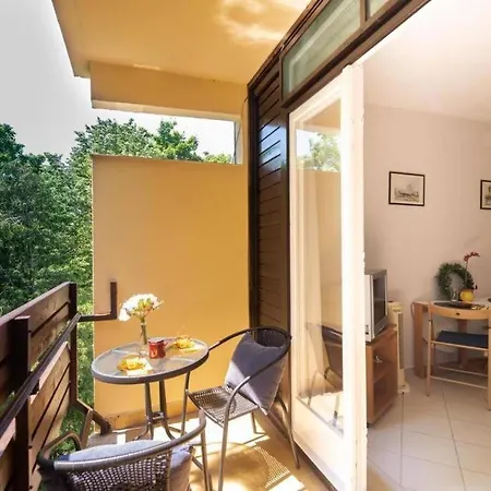 Eszter * 블로톤퓌레드